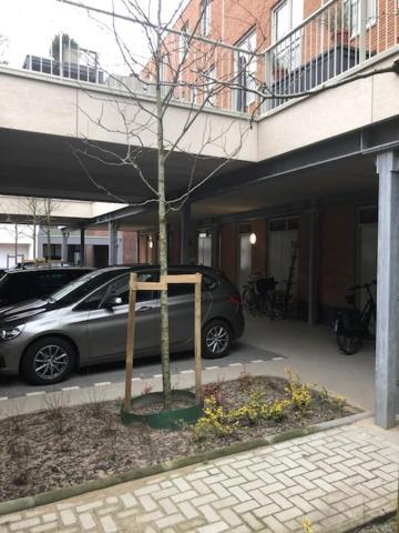 Benb Op De Trans, Arnhem Op Zijn Best! Luaran gambar